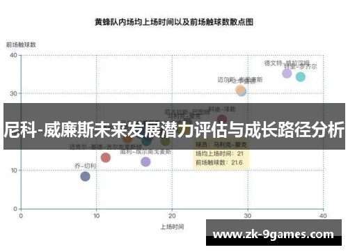 尼科-威廉斯未来发展潜力评估与成长路径分析